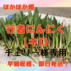 チェリー様専用 【ぽかぽか畑】 今年初 当日収穫・発送　行者ニンニク　1キロのサムネイル