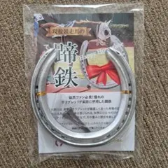 【大人気!!!】Happy Horseshoe 　幸運の蹄鉄