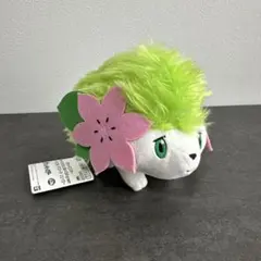 Pokemon Petit シェイミ マスコット 新品タグ付 ポケットモンスター