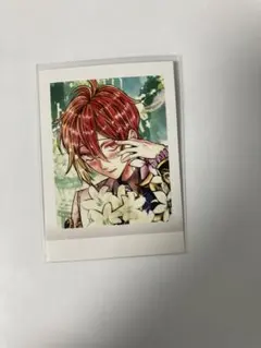 あくねこ フェネス・オズワルド ぱしゃこれ