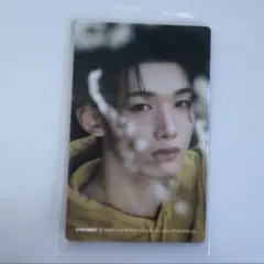 &TEAM dpartment popup ハラカド トレカ　JO ジョー