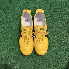 onitukataiga メキシコSD 66