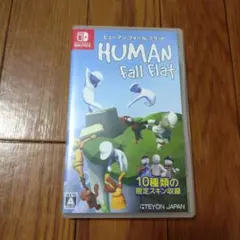 ヒューマンホールフラット　ソフト