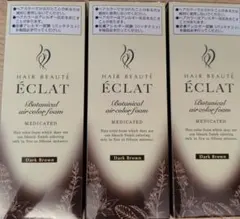 HAIR BEAUTE ECLAT ボタニカル エアカラーフォーム 3本セットのサムネイル