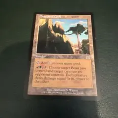 争乱の崖地/Contested Cliffs 映画