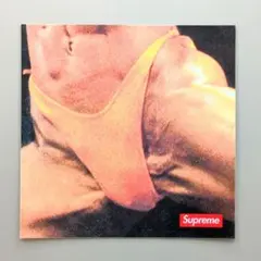 SUPREME BUTTHOLE SURFERS REMBRANDT