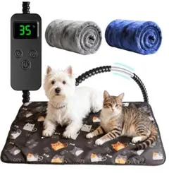 Item thumbnail for item 76bbe2d2-5a5c-4e28-b27e-98331184e3a2