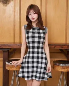 Darich DRロゴギンガムニットワンピース　フリーサイズ