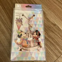 ミッキー・ミニー バケーションパッケージ キーホルダー40周年記念 ミッキー・ミニー バケーションパッケージ キーホルダー40周年