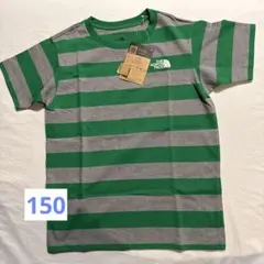 THE NORTH FACE 緑グレー ストライプ Tシャツ 150