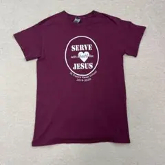 GILDAN ギルダン ビッグプリント Tシャツ ユニセックス 海外古