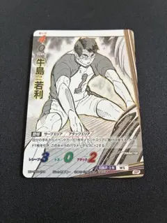 2025年最新】牛島若利 カードの人気アイテム - メルカリ