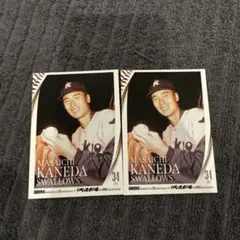 2026年最新】国鉄スワローズの人気アイテム - メルカリ