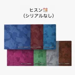 THE SIN : VANISH (FUGITIVES Ver.)ヒスン