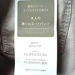 Item thumbnail for item 4c6293a3-f92a-44f2-8093-acdcef6a66ee