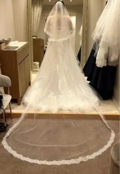 【定価4万円！！】トリートドレッシング　ロングベール【正規品】