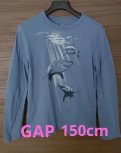 GAP KIDS サメ グラフィック 長袖Tシャツ 150cm XL ブルー