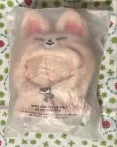 Stray Kids SKZOO OUTFIT フォクシニー