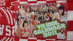 ヤングガンガンの付録-YG IDOL CALENDAR 2011