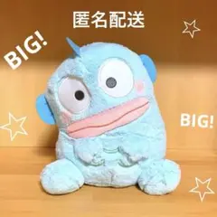 サンリオ　はぴだんぶい　こてっとぺったん　BIG ぬいぐるみ　ハンギョドン