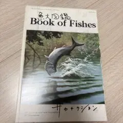 2025年最新】サカナクション 魚大図鑑の人気アイテム - メルカリ