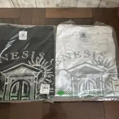 2PM GENESIS Tシャツセット(黒・白) L