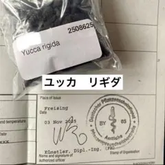 リッキーてん様 リクエスト 3点 まとめ商品