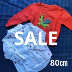 ☆Insect Collection トップスSET 80㎝☆