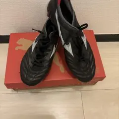 モレリアネオⅢ