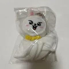 てるてるぼうず☀️様 リクエスト 2点 まとめ商品 2026年最新】SKZOOてるてる坊主の人気アイテム - メルカリ
