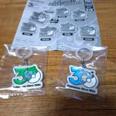 ポケモン30周年メタルチャームマスコット　フシギダネ　カメックス　2点セット