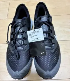 ナイキ ペガサストレイル