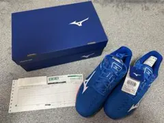 MIZUNO テニスシューズ 29.0cm ブルーのサムネイル