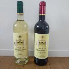 Cour De Mandelotte　クール・ド・マンデロット　750ml　2本のサムネイル