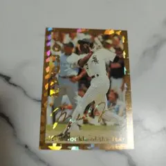 Michael Jordan トレーディングカード 1990-91