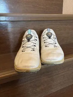 ECCO BIOM GOLF ゴルフシューズ BOA 43 防水 美品 27.5 - メルカリ