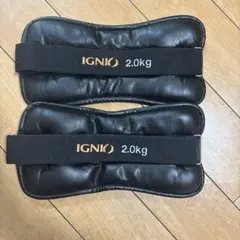 Item thumbnail for item c6efcc9e-3334-41cb-a973-235411cd90e6