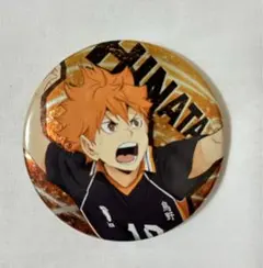 日向翔陽 缶バッジ