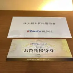 ヤマダホールディングス お買物優待券 5000円分