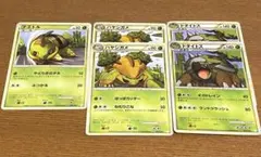 ナエトル　ドダイトス　ハヤシガメセット