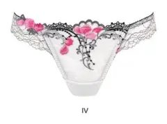 Item thumbnail for item 2c6bf3f0-5f23-43a8-8c02-70957cd0df00