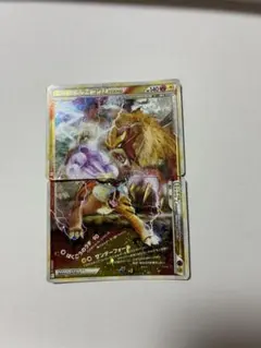 希少 エンティ&ライコウ LEGEND アンリミ 2026年最新】エンテイ＆ライコウ legendの人気アイテム - メルカリ