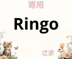 専用