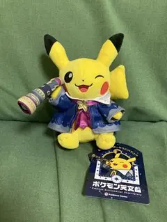ポケモン天文台 ほしぞらピカチュウ ぬいぐるみ 星空 限定品