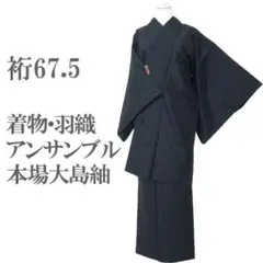 本場大島紬 着物 羽織 アンサンブル セット 裄67.5 Ｌ 中古 sn1858