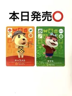 キャラメル タクミ amiiboカードセット どうぶつの森 3DS
