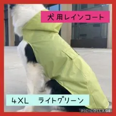 Item thumbnail for item 34873866-96e5-4223-ba26-f0c86af3d471