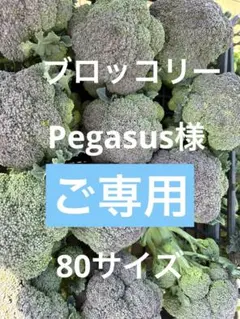 ☆ご専用☆ブロッコリー、脇芽、大