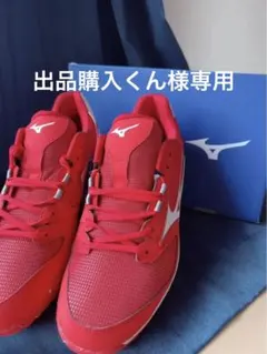 出品購入くん様専用