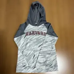 Item thumbnail for item c4f65279-78ac-4c97-81c4-225ffb67a250